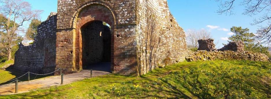 Egremont castle (c) Brian Sherwen